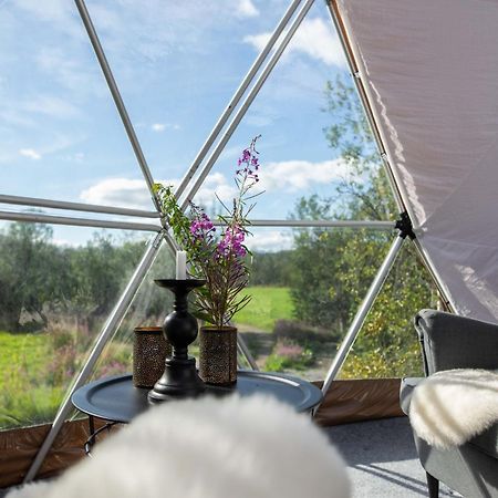 Aera - Glass Cabins ทรอมโซ ภายนอก รูปภาพ